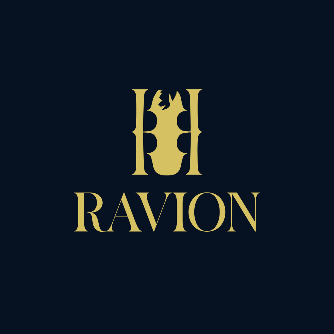 Ravion vision